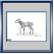 Lamb