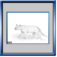 Panther