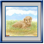 Cub