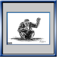 Gorilla